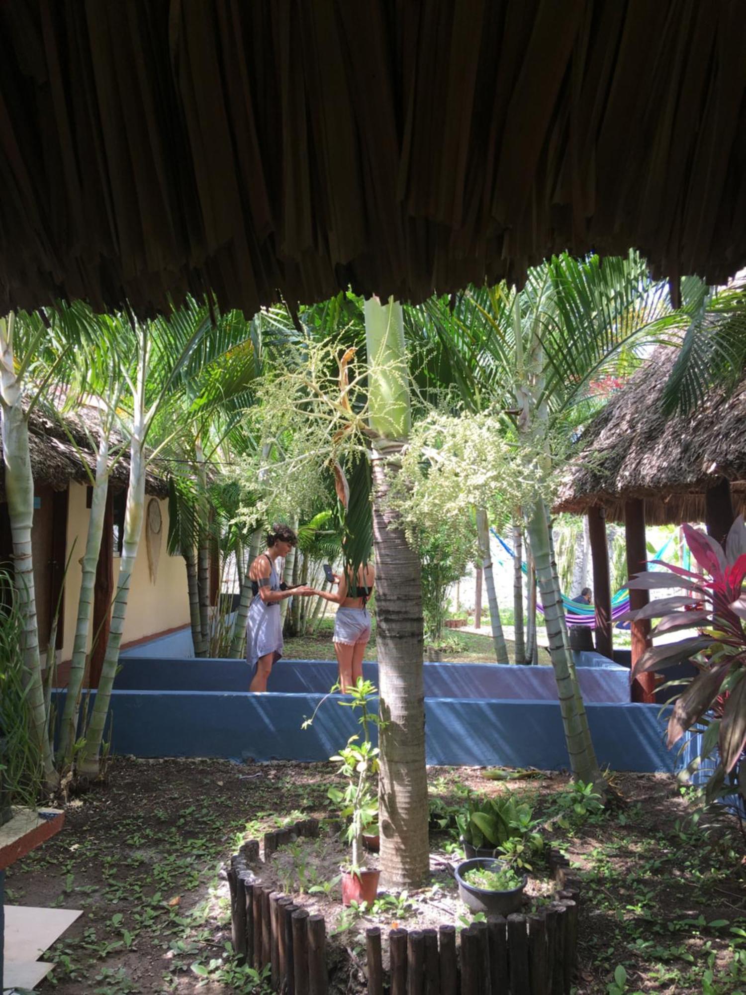 Casa Bokoba Bacalar Hotel ภายนอก รูปภาพ